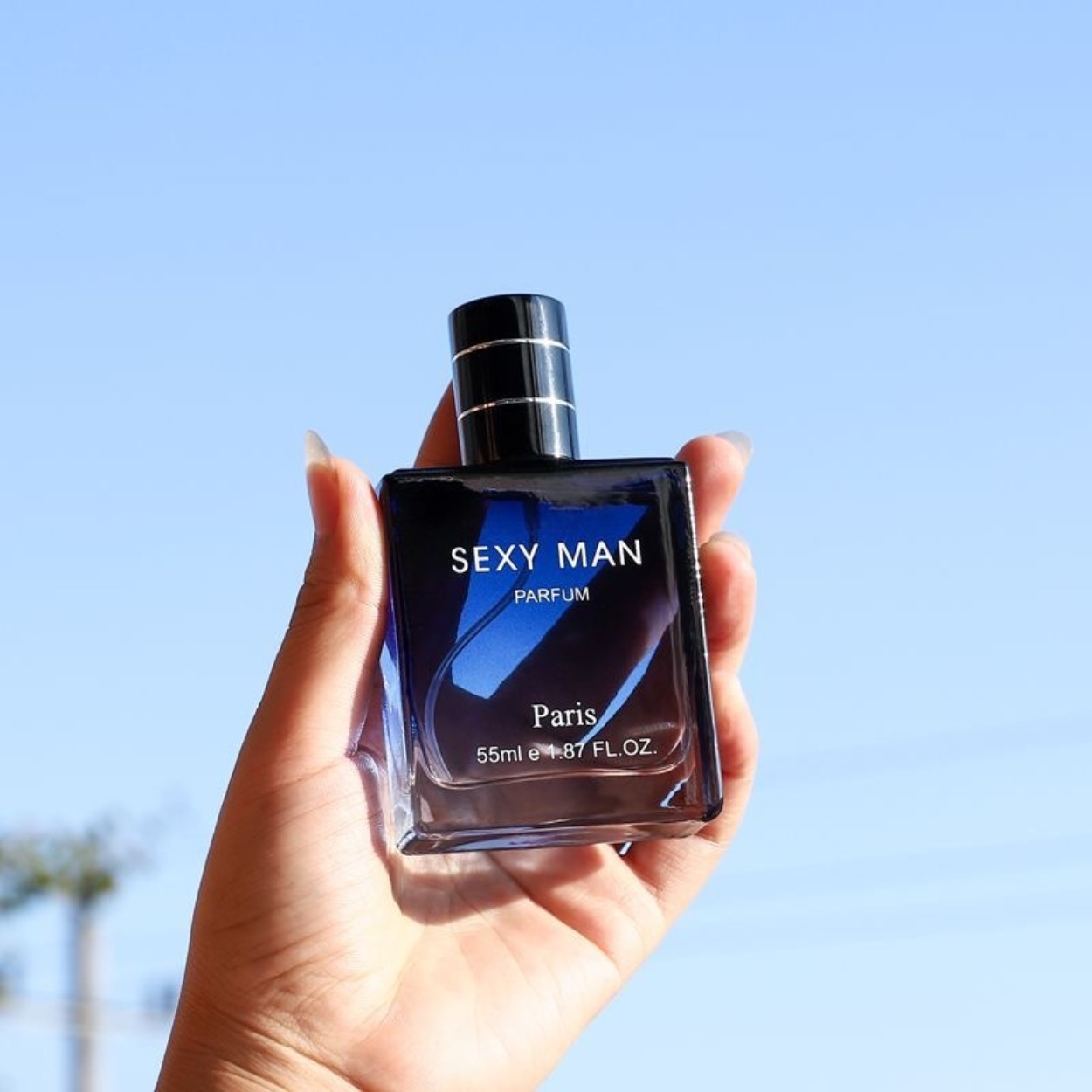 Men's Woody & Marine Perfume 5 - đánh giá và giá Perfume Long Fragrance