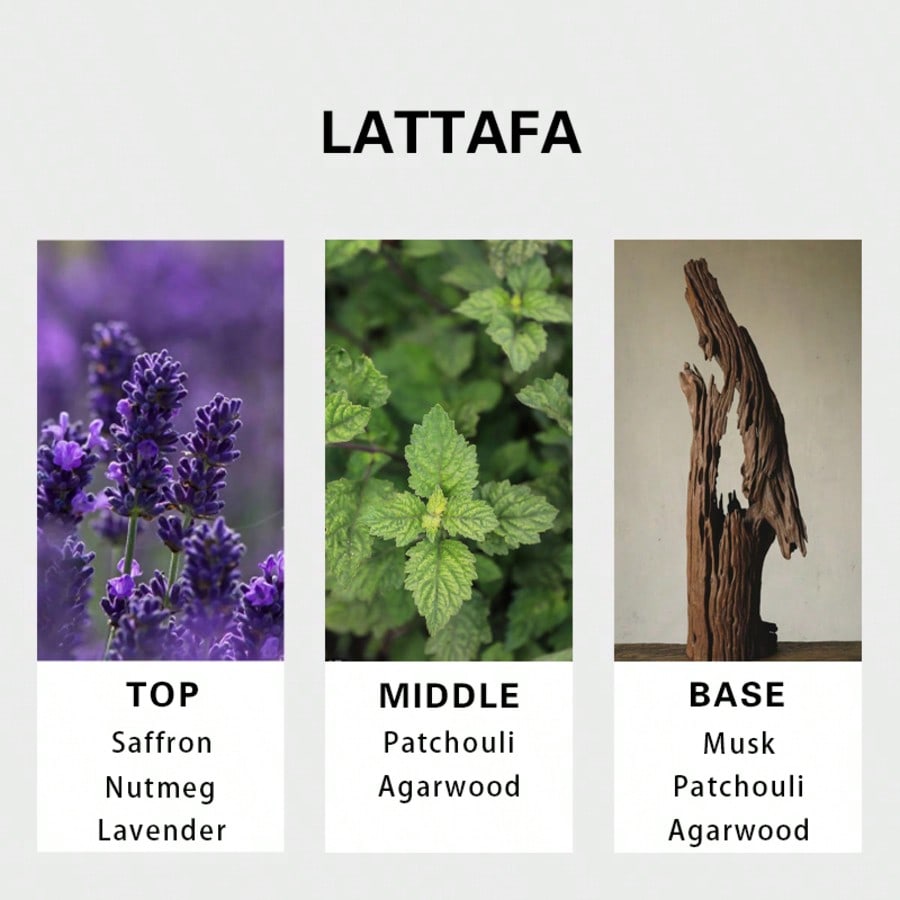 Lattafa Badee Al Oud For Glory - đánh giá và giá Perfume Fragrance For Men