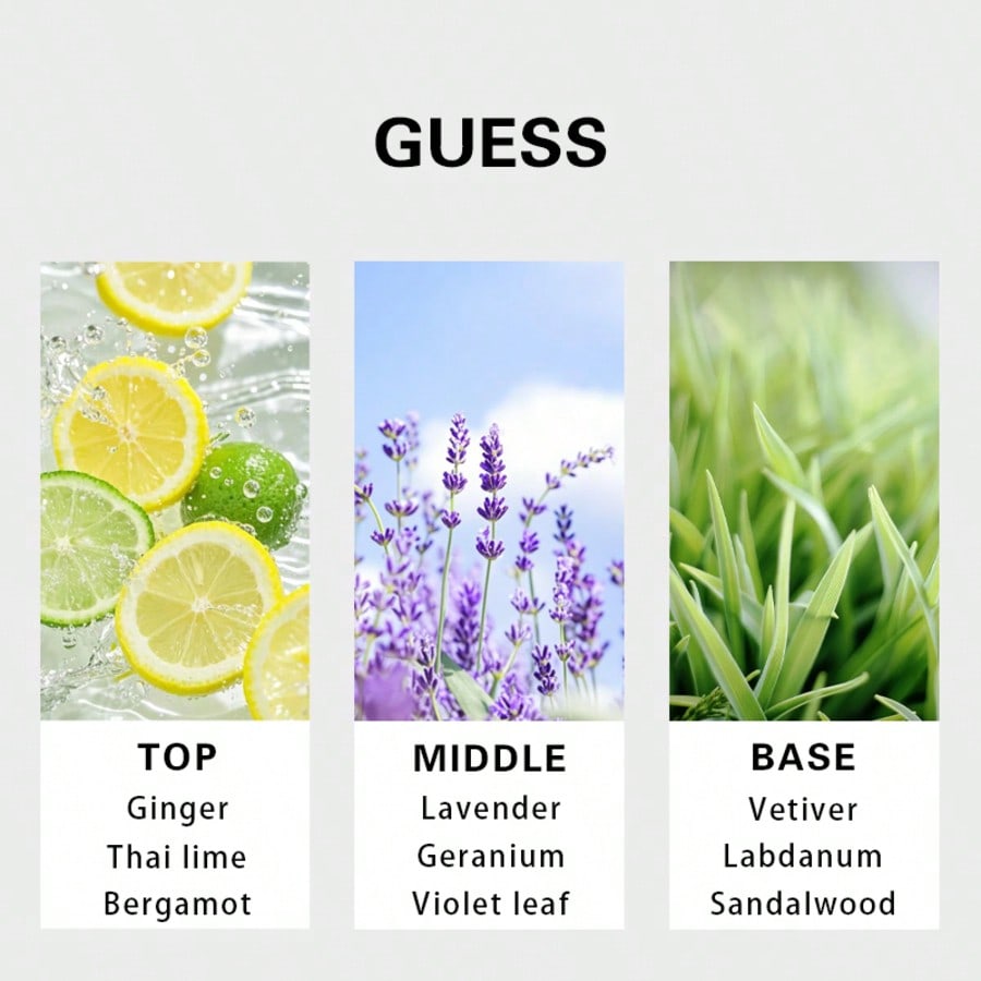 Guess Forever men Eau De Toile - đánh giá và giá Perfume Fragrance For Men