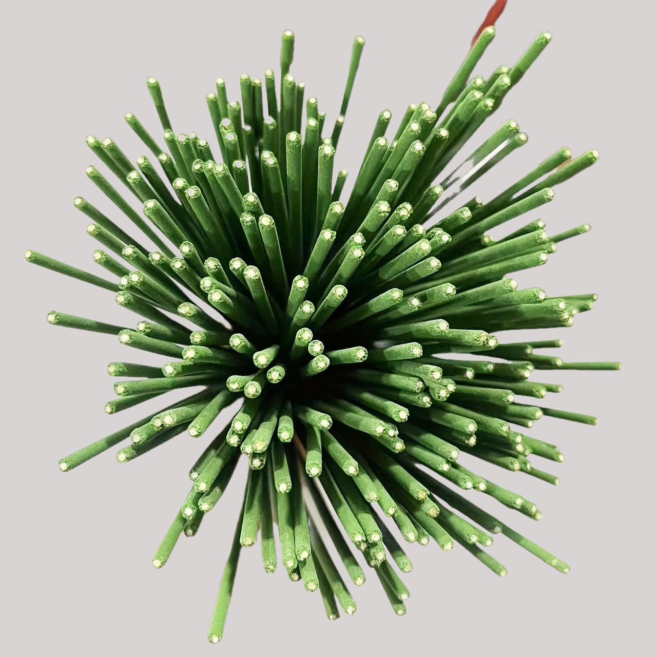 Reed Diffuser Sticks Lemongras - đánh giá và giá Perfume Fragrance Stick